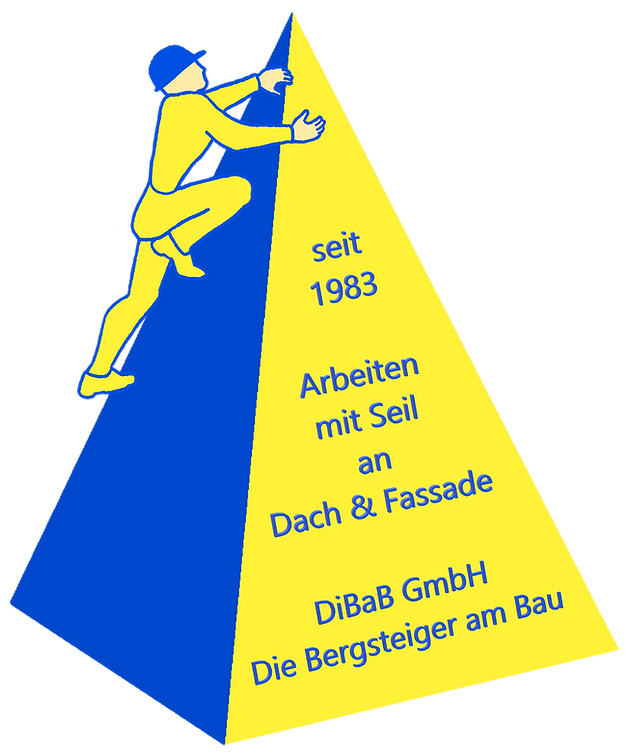 Dachdecker, Dachsteiger, Dachrinnenreini