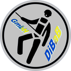 Höhenarbeit Dresden, Dachsteiger, Dachschaden, Bergsteiger, Dachreparatur, Dachrinnenreinigung, Dacharbeit ohne Gerüst, Dach reparieren, Dachkletterer, Dachdecker, Industriekletterer, Radebeul, Freital