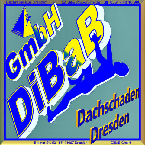 Bergsteiger Dresden, Dachsteiger, Dachschaden, Dachreparatur, Dachrinnenreinigung, Dacharbeit ohne Gerüst, Dach reparieren, Dachdecker, Höhenarbeit, Industriekletterer, Dachkletterer, Radebeul, Freital