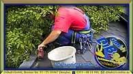 Dachrinnenreinigung Dresden | DiBaB GmbH – Dachdecker + Bergsteiger = Dachsteiger & Industriekletterer