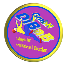 Dachreparatur Dresden, Dachsteiger, Dachschaden, Dachrinnenreinigung, Bergsteiger, Dachkletterer, Dachdecker, Dacharbeit ohne Gerüst, Dach reparieren, Höhenarbeit, Industriekletterer, Freital, Radebeul