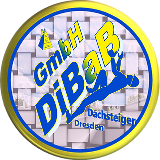 Dachsteiger Dresden, Dachschaden, Dachreparatur, Dachrinnenreinigung, Bergsteiger, Dachdec