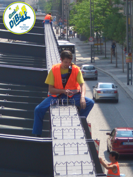 Tauben Spikes Dresden