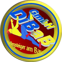 Dachrinnenreinigung Dresden wird von den Dachsteigern (Dachdecker und Bergsteiger) der DiB