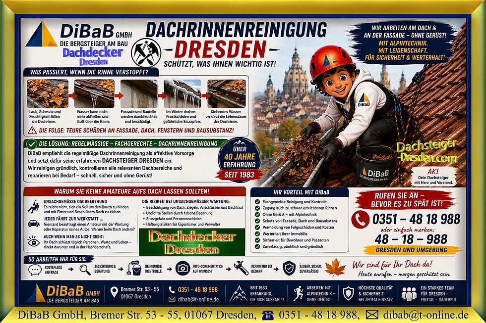 Dachrinnenreinigung Dresden | DiBaB GmbH – Dachdecker + Bergsteiger = Dachsteiger & Industriekletter