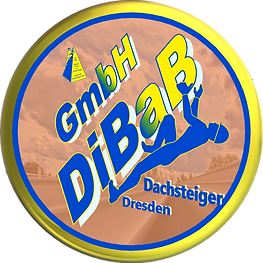 Dachsteiger Dresden, Dachschaden, Dachreparatur, Dachrinnenreinigung, Bergsteiger, Dachdec