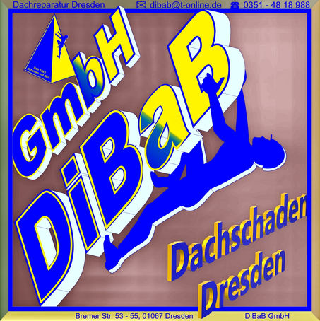 Dachschaden Dresden, Dachsteiger, Bergsteiger, Dachreparatur, Dachrinnenreinigung, Dacharbeit ohne Gerüst, Dach reparieren, Dachdecker, Höhenarbeit, Industriekletterer, Dachkletterer, Radebeul, Freital
