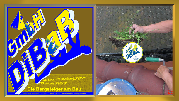 Dachrinnenreinigung Dresden, Dachsteiger Dresden, Dachschaden Dresden, Dacharbeit ohne Gerüst Dresden, Dach reparieren Dresden,  Dachreparatur Dresden, Dachdecker Dresden, Dachkletterer Dresden, Bergsteiger Dresden, Industriekletter