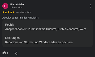 Rezension 2023 Elvira Meier mit einem Like Daumen.png