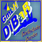 Dachschaden Dresden, Dachsteiger, Bergsteiger, Dachreparatur, Dachrinnenreinigung, Dacharbeit ohne Gerüst, Dach reparieren, Dachdecker, Höhenarbeit, Industriekletterer, Dachkletterer, Radebeul, Freital