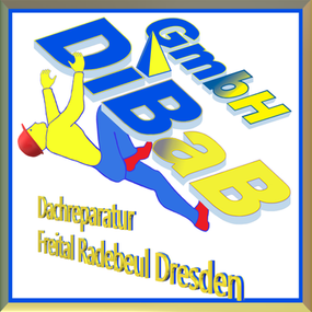 Dacharbeit ohne Gerüst Dresden, Dachsteiger, Dachschaden, Dachreparatur, Dachrinnenreinigung, Bergsteiger, Dachdecker, Dachkletterer, Dach reparieren, Höhenarbeit, Industriekletterer, Freital, Radebeul