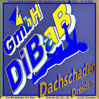 Dachschaden Dresden, Dachsteiger, Bergsteiger, Dachreparatur, Dachrinnenreinigung, Dacharbeit ohne Gerüst, Dach reparieren, Dachdecker, Höhenarbeit, Industriekletterer, Dachkletterer, Radebeul, Freital