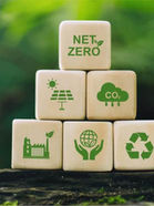 Green Tech and Sustainability-Focused STEM Degrees Abroad