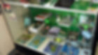 Books, Stickers & Collectibles