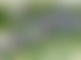 Is Urse a Good Area to Buy Property in Pune in 2026?