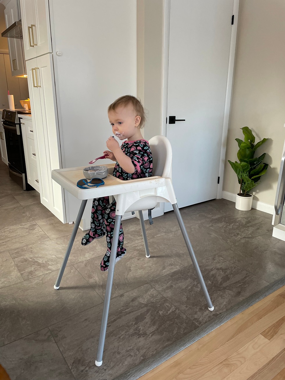IKEA Antilop High Chair
