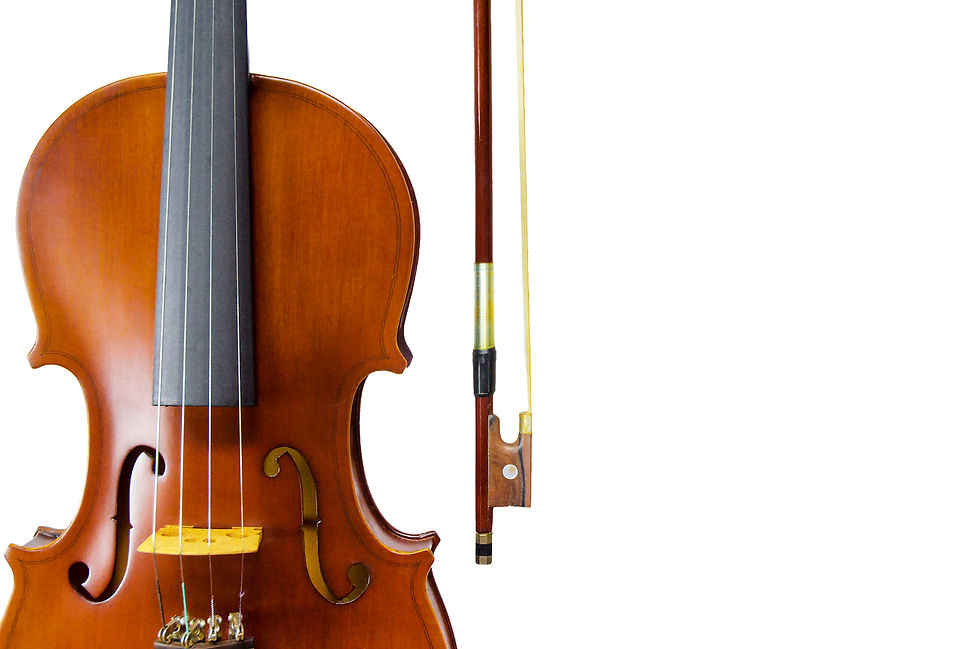 violin7