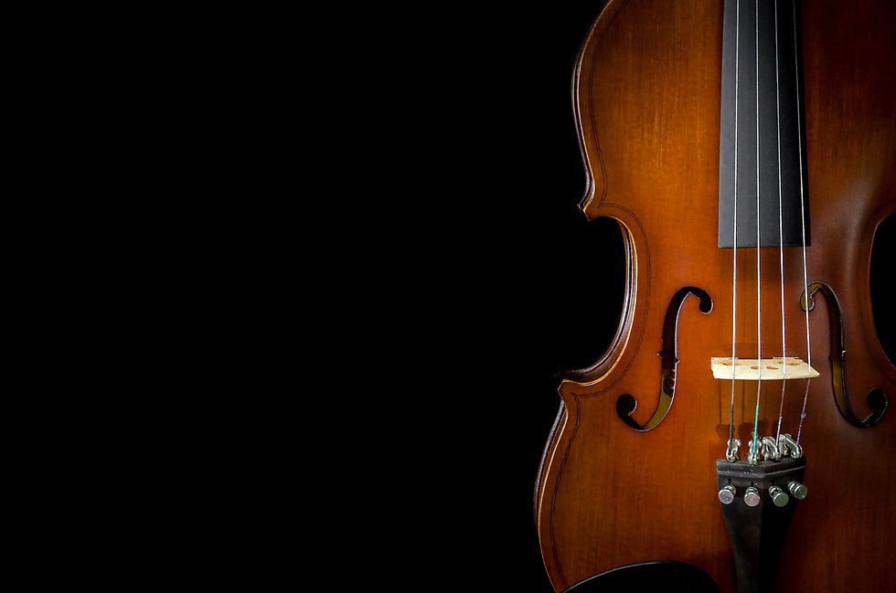 violin4
