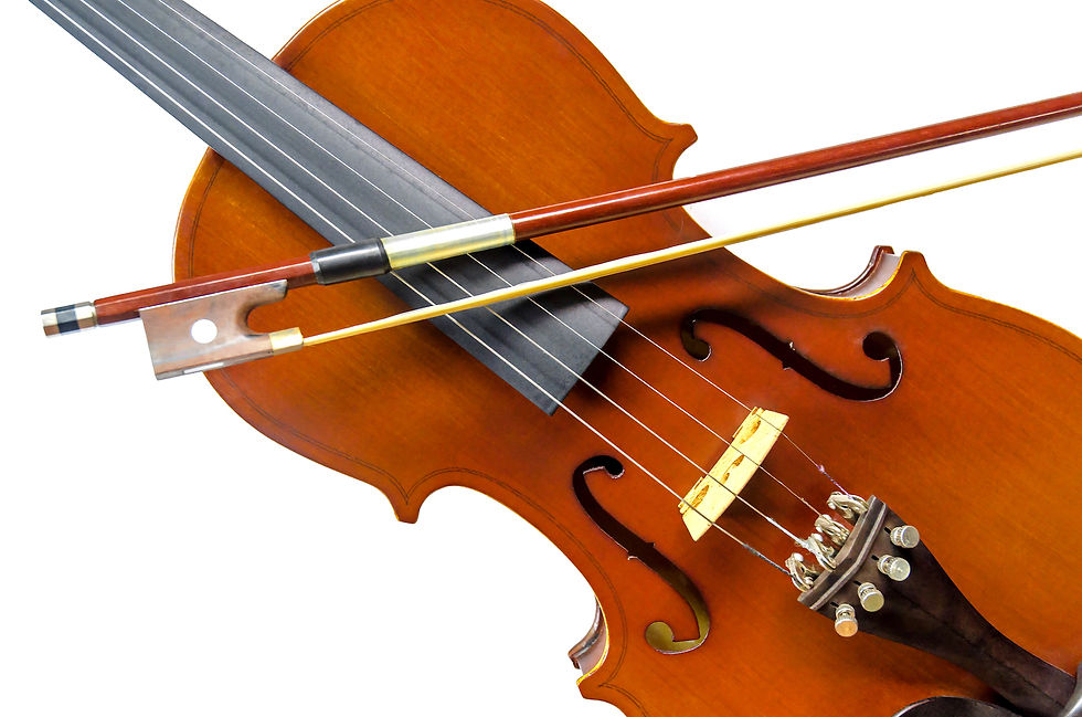 violin8