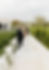 IMG_8024.PNG