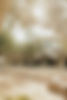 IMG_2461.PNG