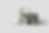 CopperStateMockup.png