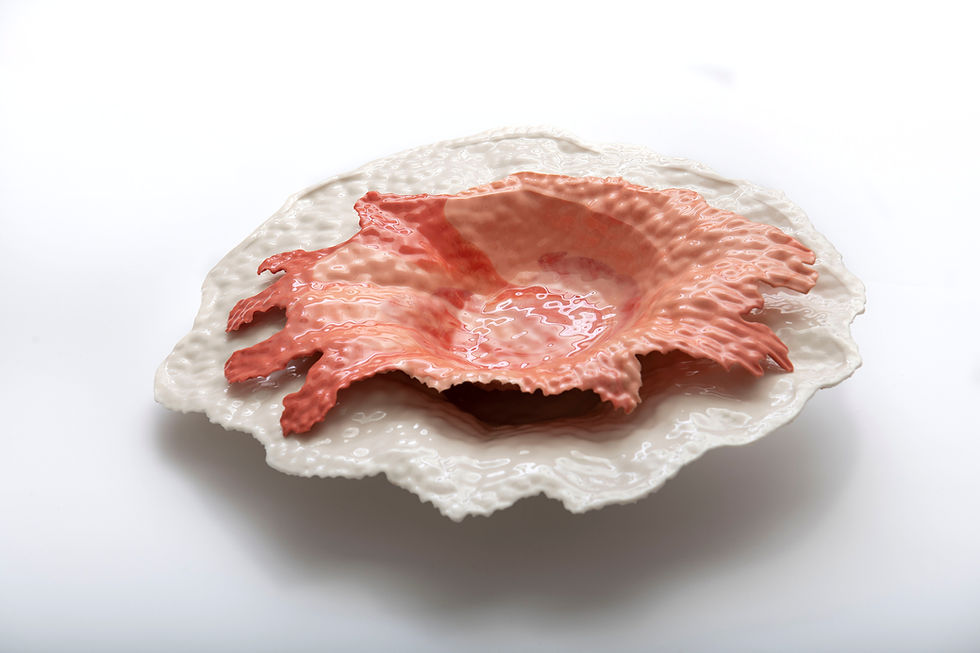 11.3.2022, 19 27 59(1)