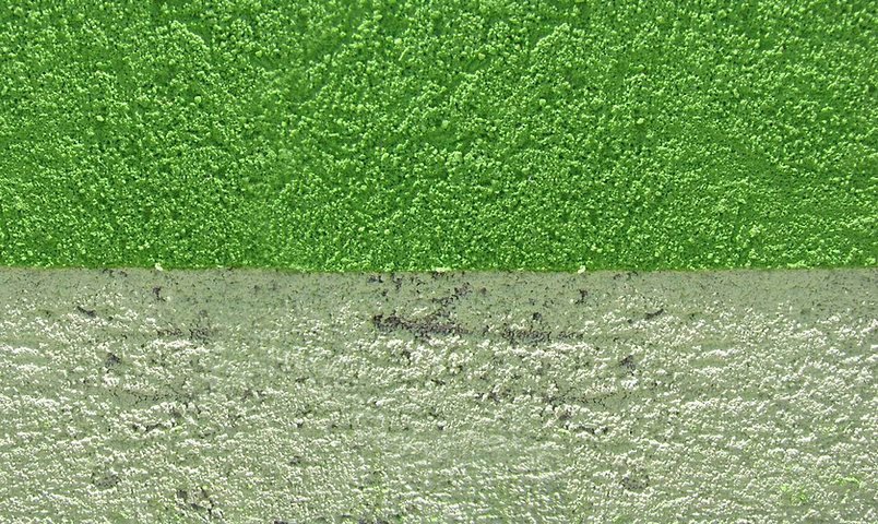 Painted Concrete