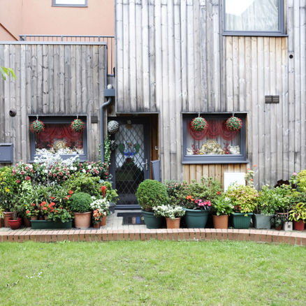 Effra Road revisited