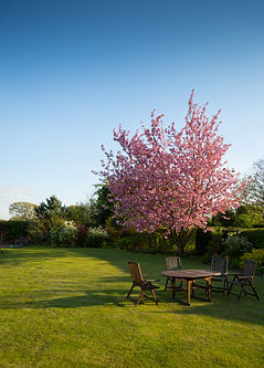 relaxation-garden-grass-spring-59321.jpg