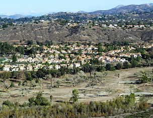 IMG_8138.JPG