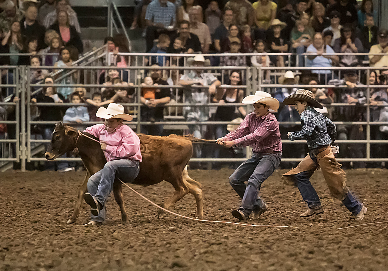 Ranch Rodeo/ Bull Riding | Norco Horseweek