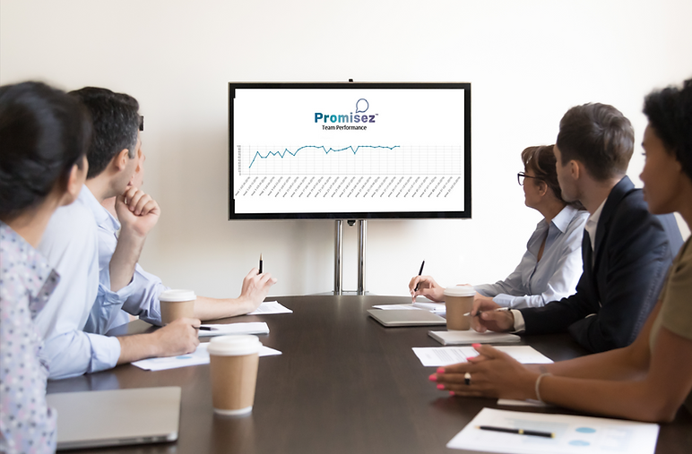 meeting with Promisez graph.png
