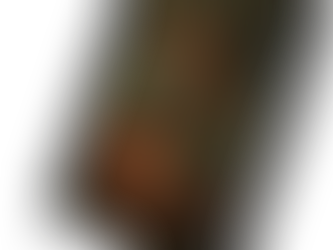 Why Murderous Marxism by William Johnson Is One of the Best Political History Books