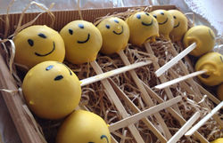 cake pops 4