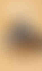 240920-fl-recYzIFw9-ugg-september-email-module-hero