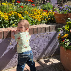 The Life of Your Dreams