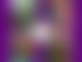 Community Connections