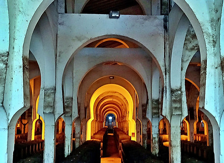 Bodegas Fundador