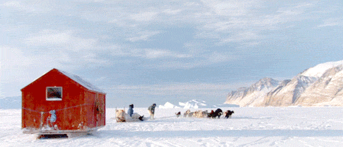 tumblr_m908mxw9pn1qg39ewo1_500.gif