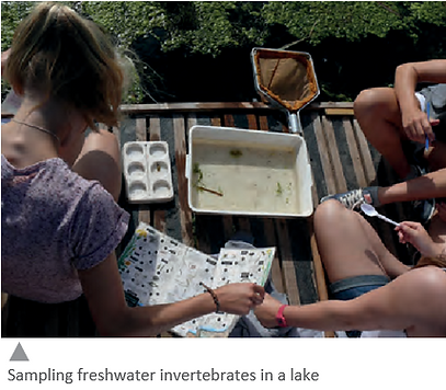 Screenshot (162).png