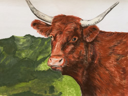 pastel vache