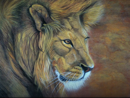 pastel lion