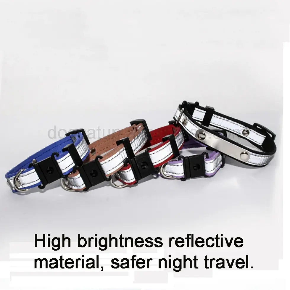 Thumbnail: 3 In 1 Engraved Cat Collar Reflective Kitten ID Tag Phone Number Nameplate