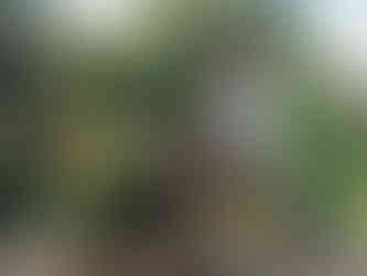 250709_BC_MTL_JUL25_SSA_EDITORIAL_07_0035