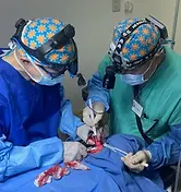 two surgeons performing surgery