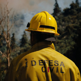 Mairiporã promove palestra sobre prevenção de incêndios florestais nesta sexta-feira (17)