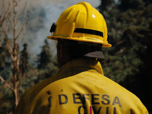 Mairiporã promove palestra sobre prevenção de incêndios florestais nesta sexta-feira (17)