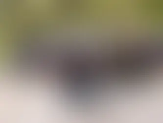 Mairiporã sedia Volta Ciclística de São Paulo-Entre Serras e Água em agosto