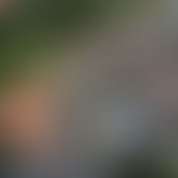 INAUGURAÇÃO DA AVENIDA BOULEVARD ACONTECERÁ NESTA QUARTA FEIRA (27)